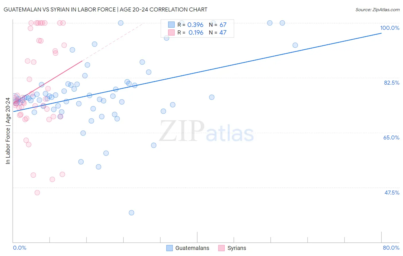 Guatemalan vs Syrian In Labor Force | Age 20-24