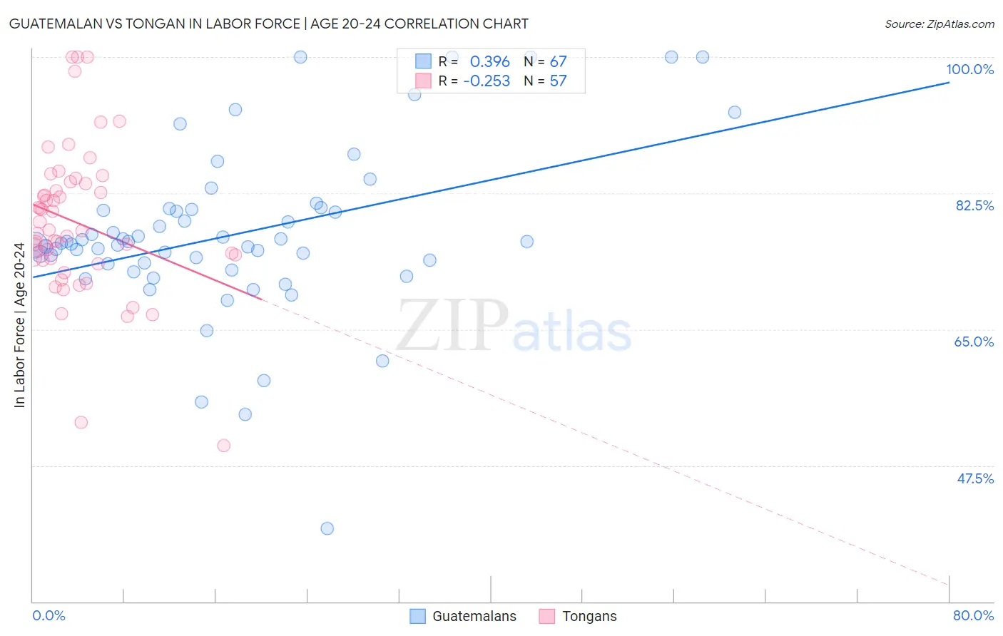 Guatemalan vs Tongan In Labor Force | Age 20-24