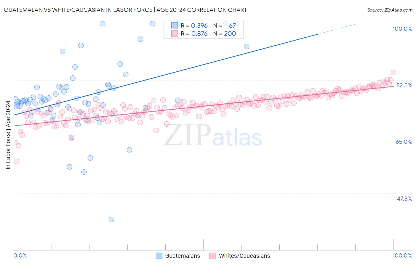 Guatemalan vs White/Caucasian In Labor Force | Age 20-24