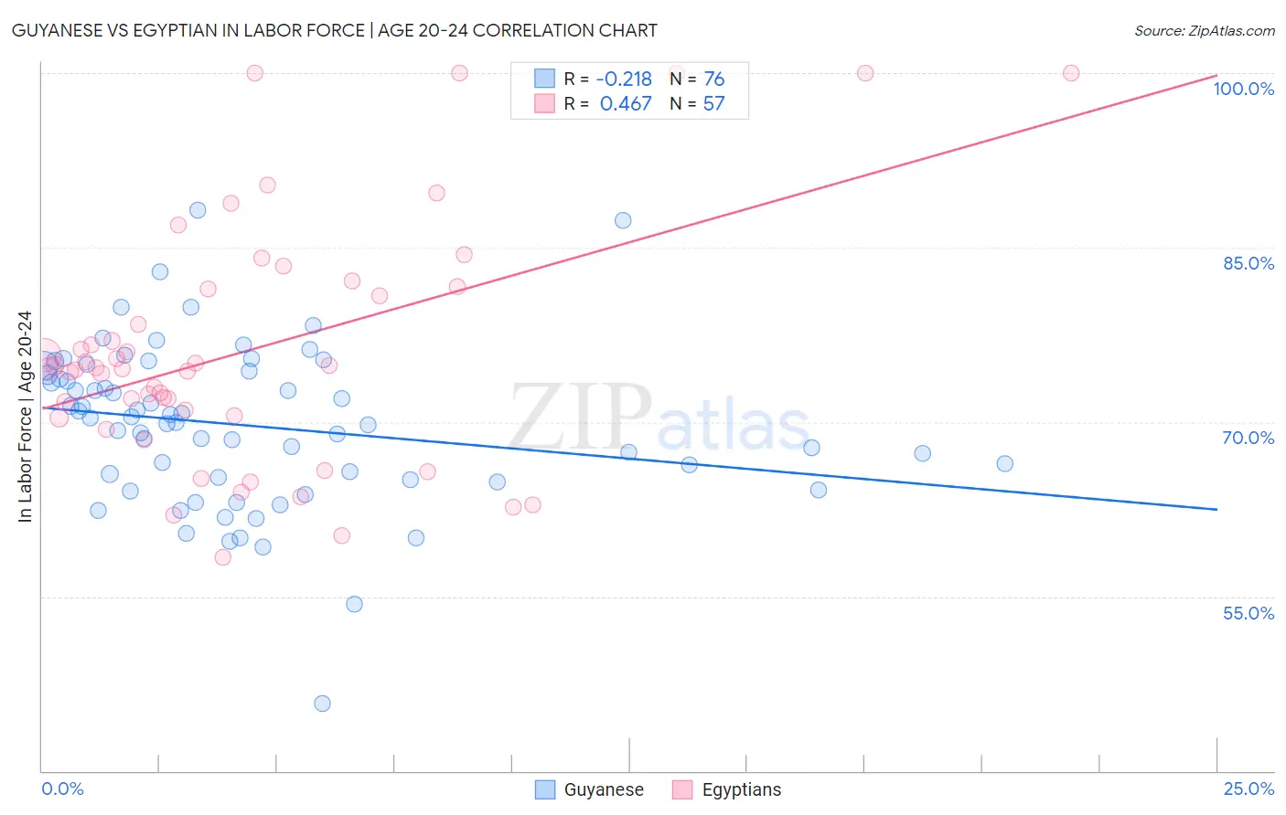Guyanese vs Egyptian In Labor Force | Age 20-24