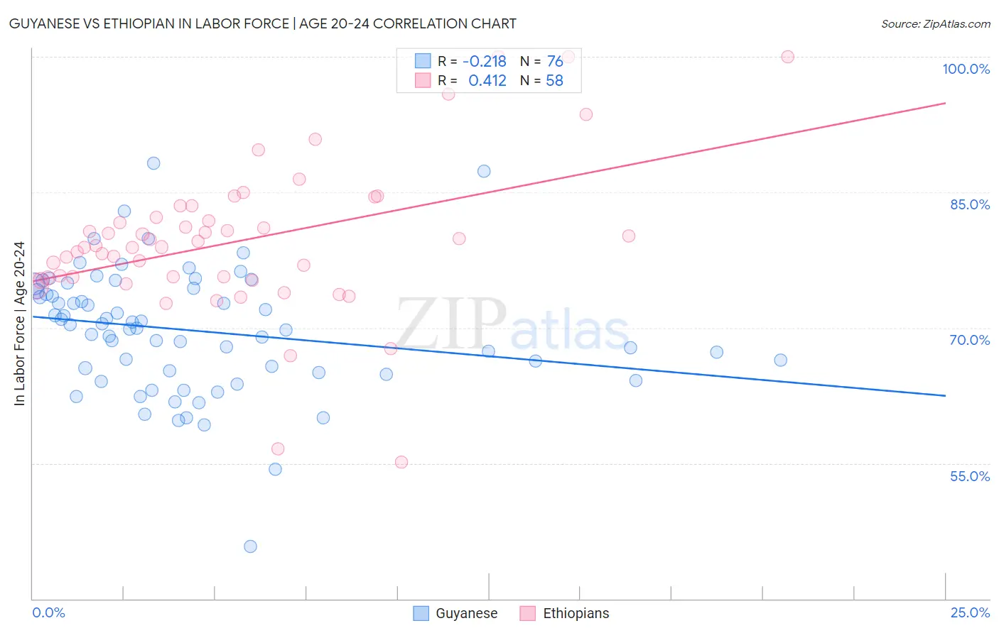 Guyanese vs Ethiopian In Labor Force | Age 20-24