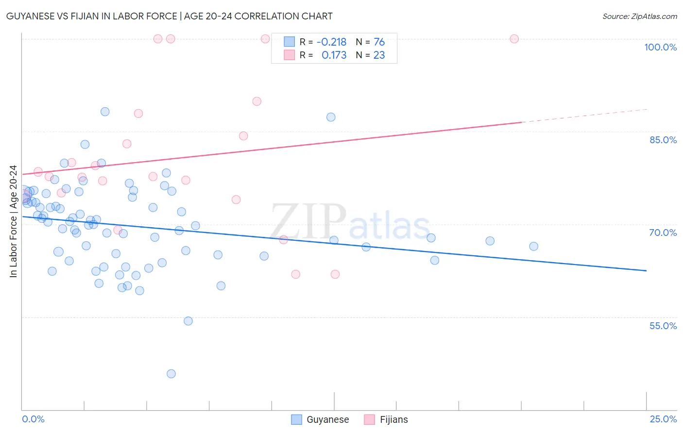 Guyanese vs Fijian In Labor Force | Age 20-24