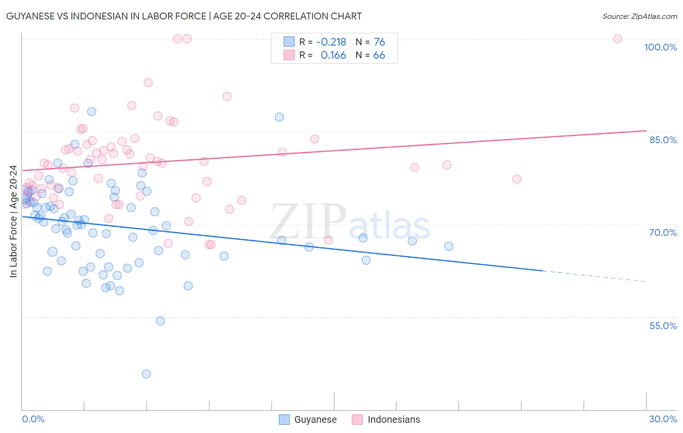 Guyanese vs Indonesian In Labor Force | Age 20-24