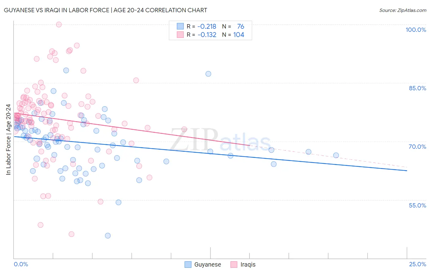 Guyanese vs Iraqi In Labor Force | Age 20-24