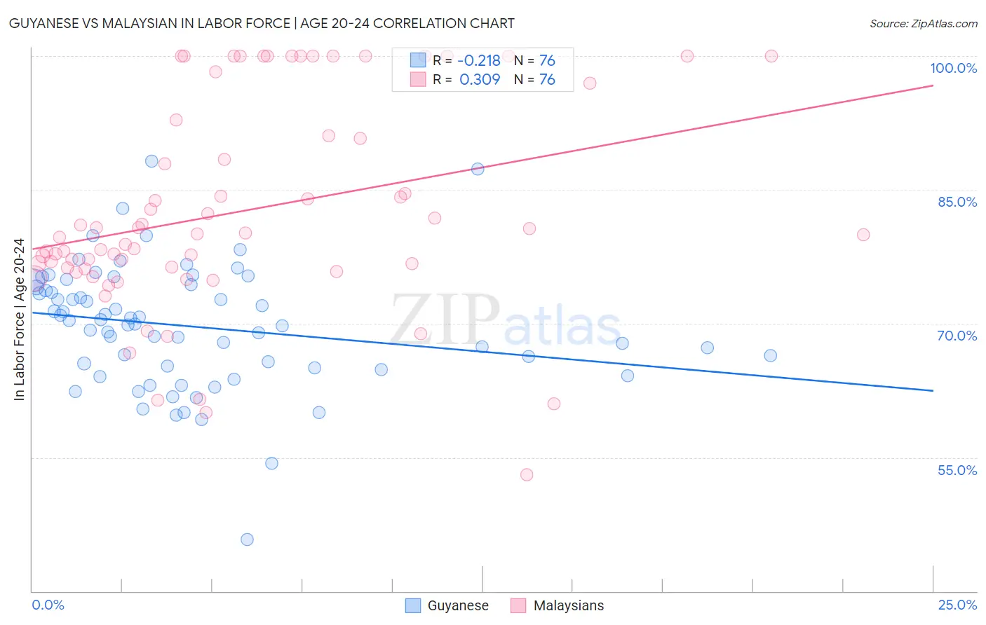 Guyanese vs Malaysian In Labor Force | Age 20-24
