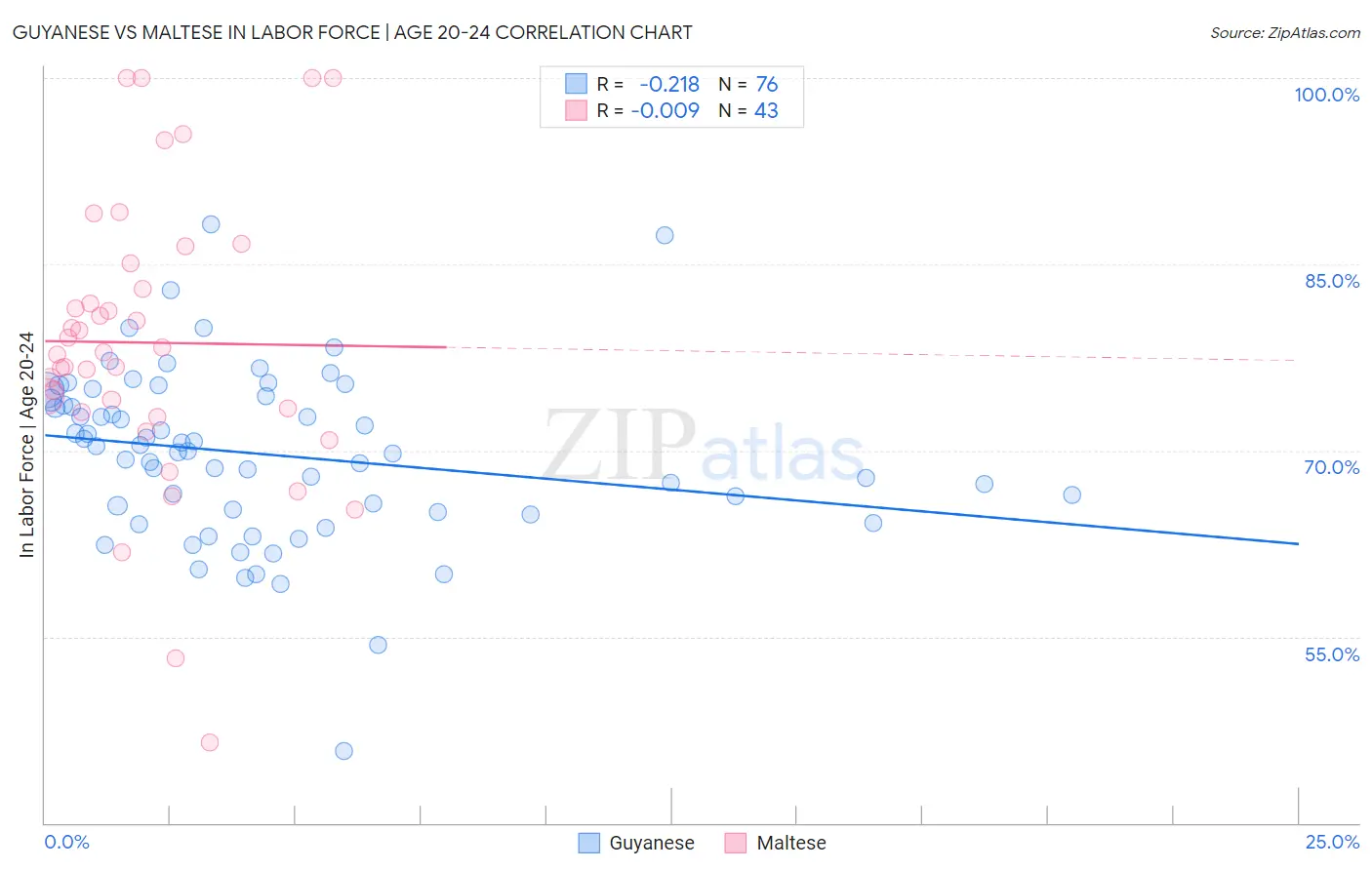 Guyanese vs Maltese In Labor Force | Age 20-24