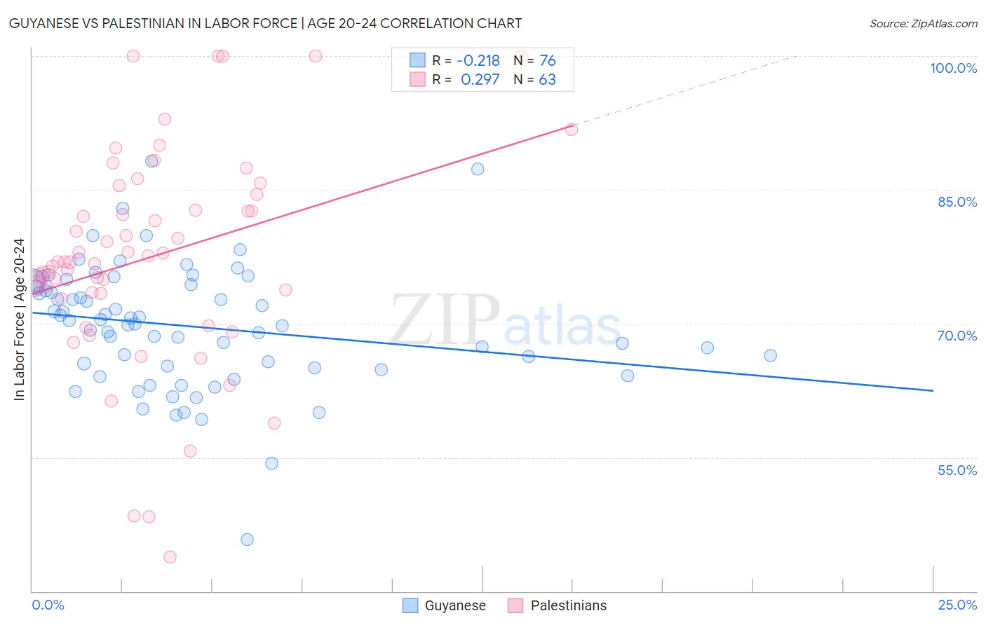 Guyanese vs Palestinian In Labor Force | Age 20-24