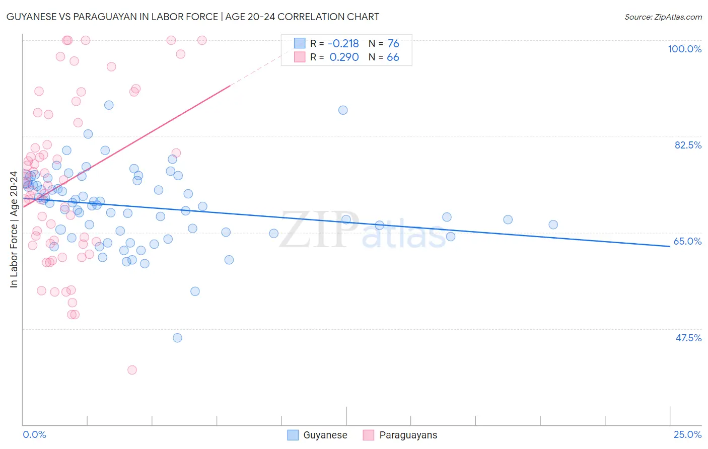 Guyanese vs Paraguayan In Labor Force | Age 20-24