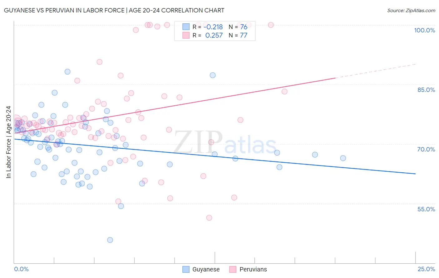 Guyanese vs Peruvian In Labor Force | Age 20-24