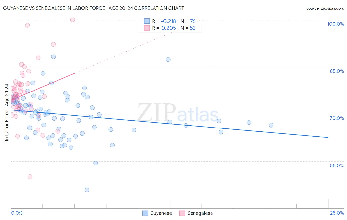 Guyanese vs Senegalese In Labor Force | Age 20-24