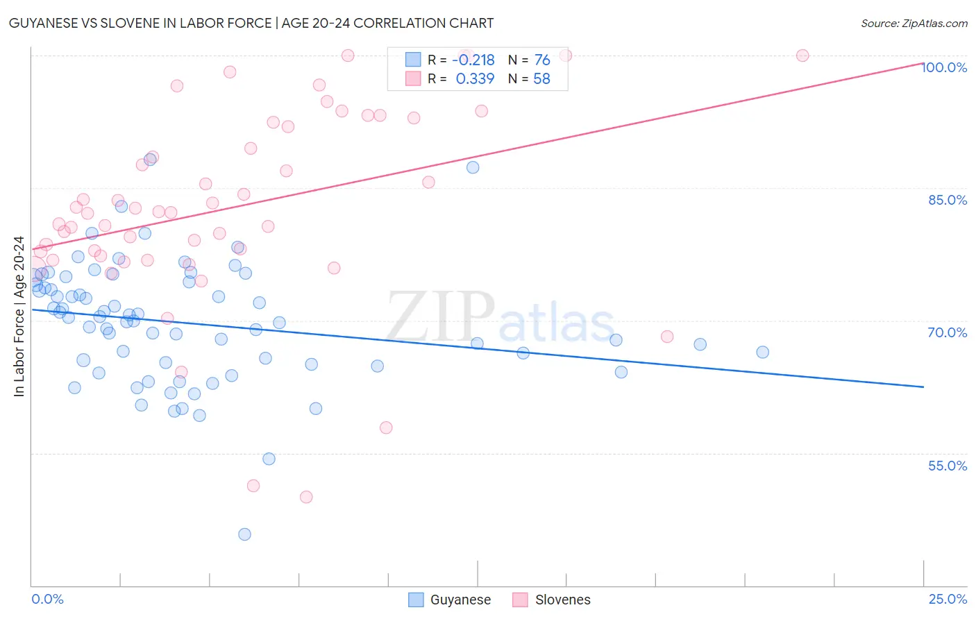 Guyanese vs Slovene In Labor Force | Age 20-24
