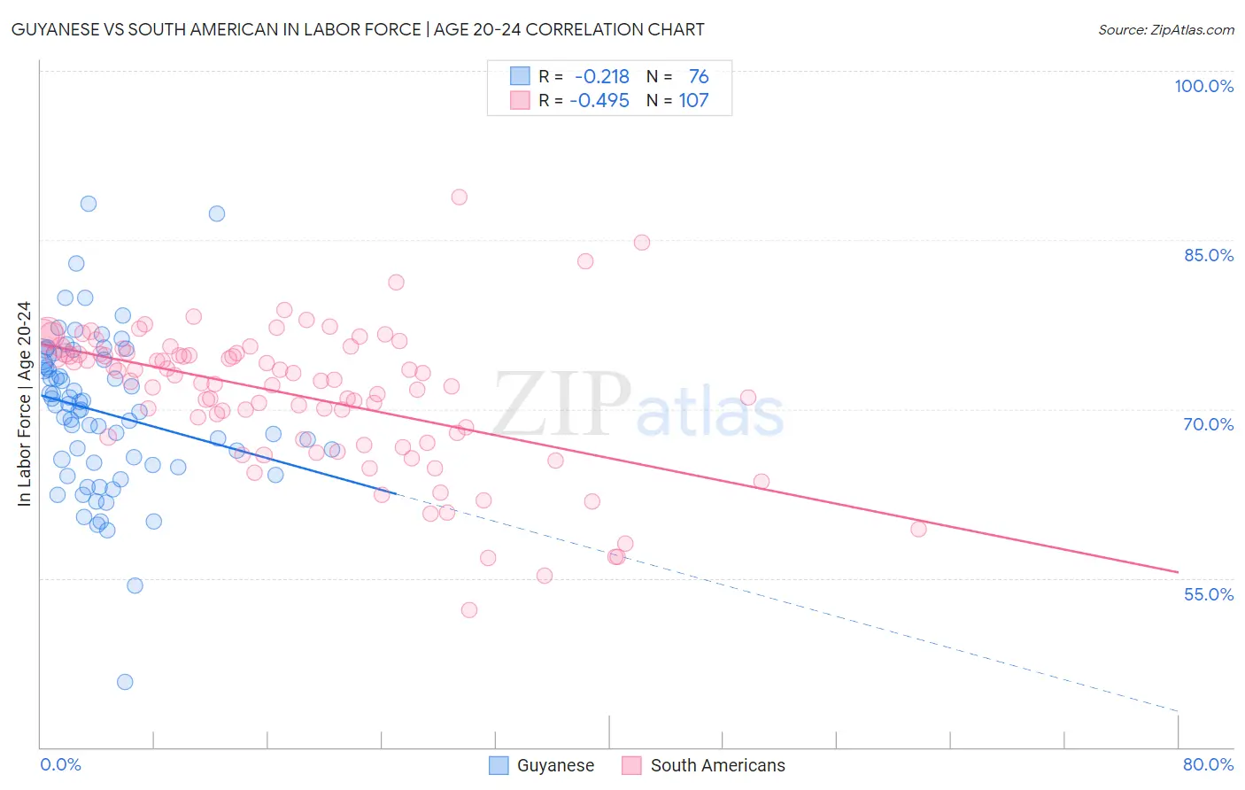 Guyanese vs South American In Labor Force | Age 20-24