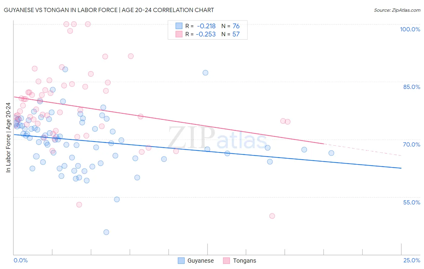 Guyanese vs Tongan In Labor Force | Age 20-24