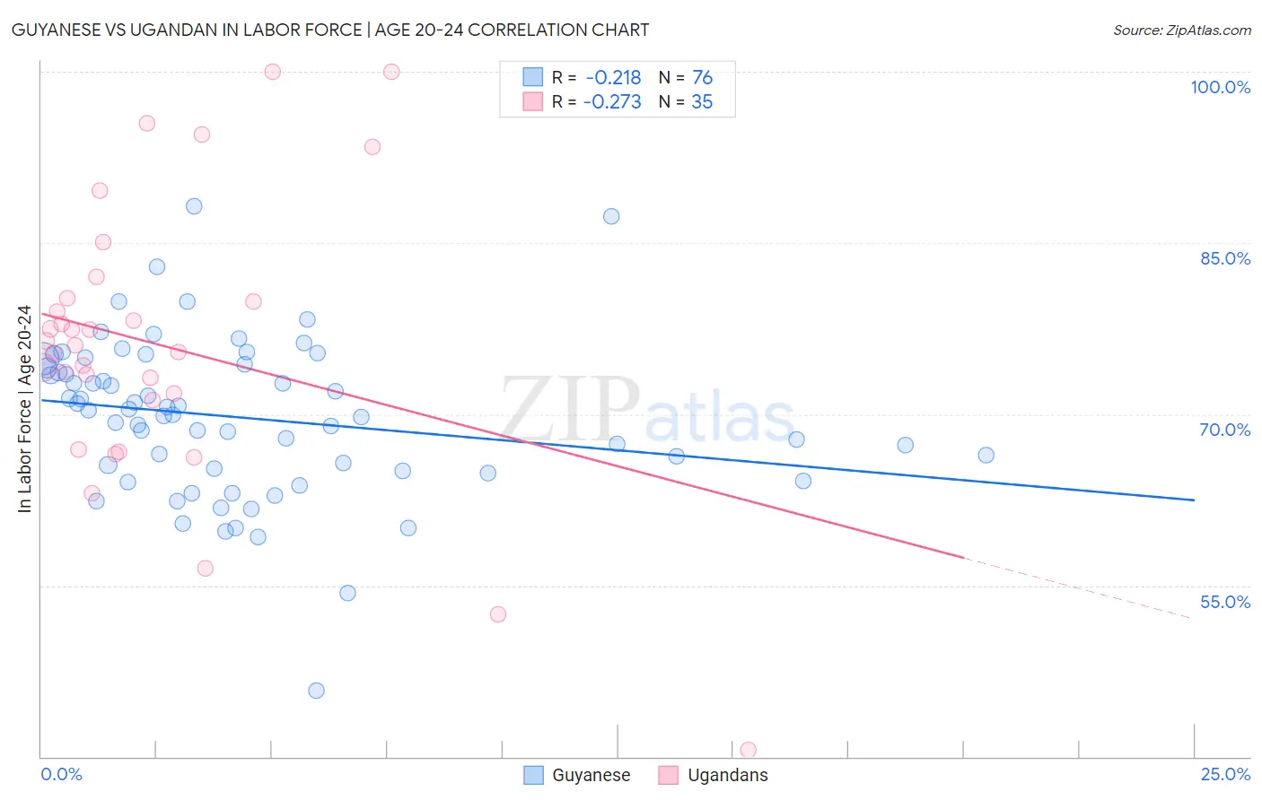 Guyanese vs Ugandan In Labor Force | Age 20-24