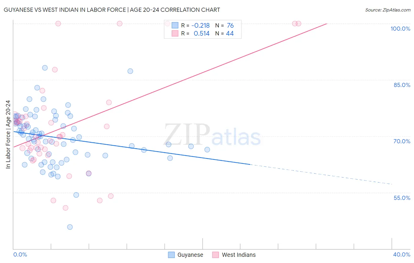 Guyanese vs West Indian In Labor Force | Age 20-24
