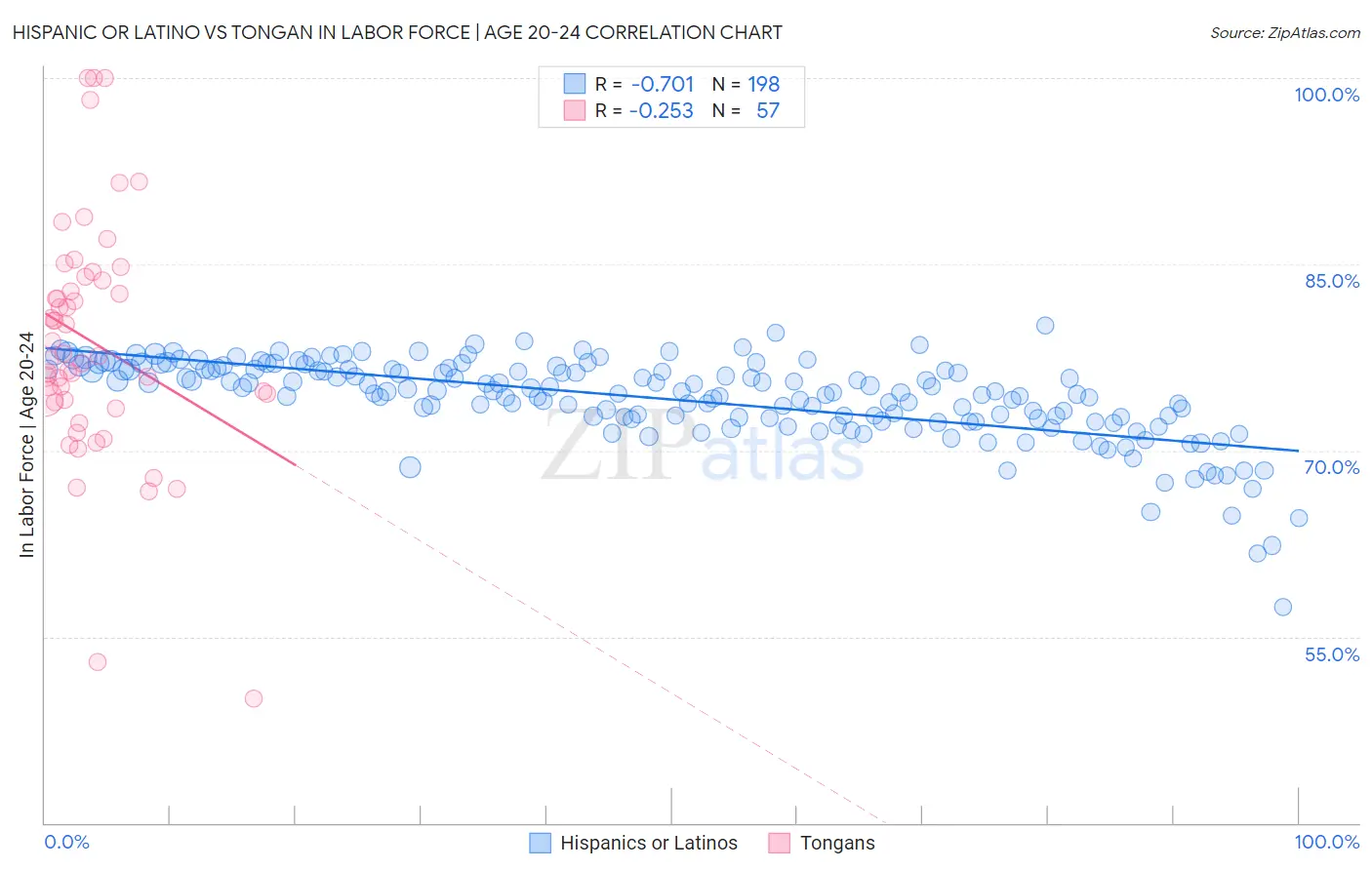 Hispanic or Latino vs Tongan In Labor Force | Age 20-24