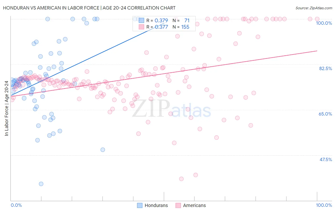 Honduran vs American In Labor Force | Age 20-24