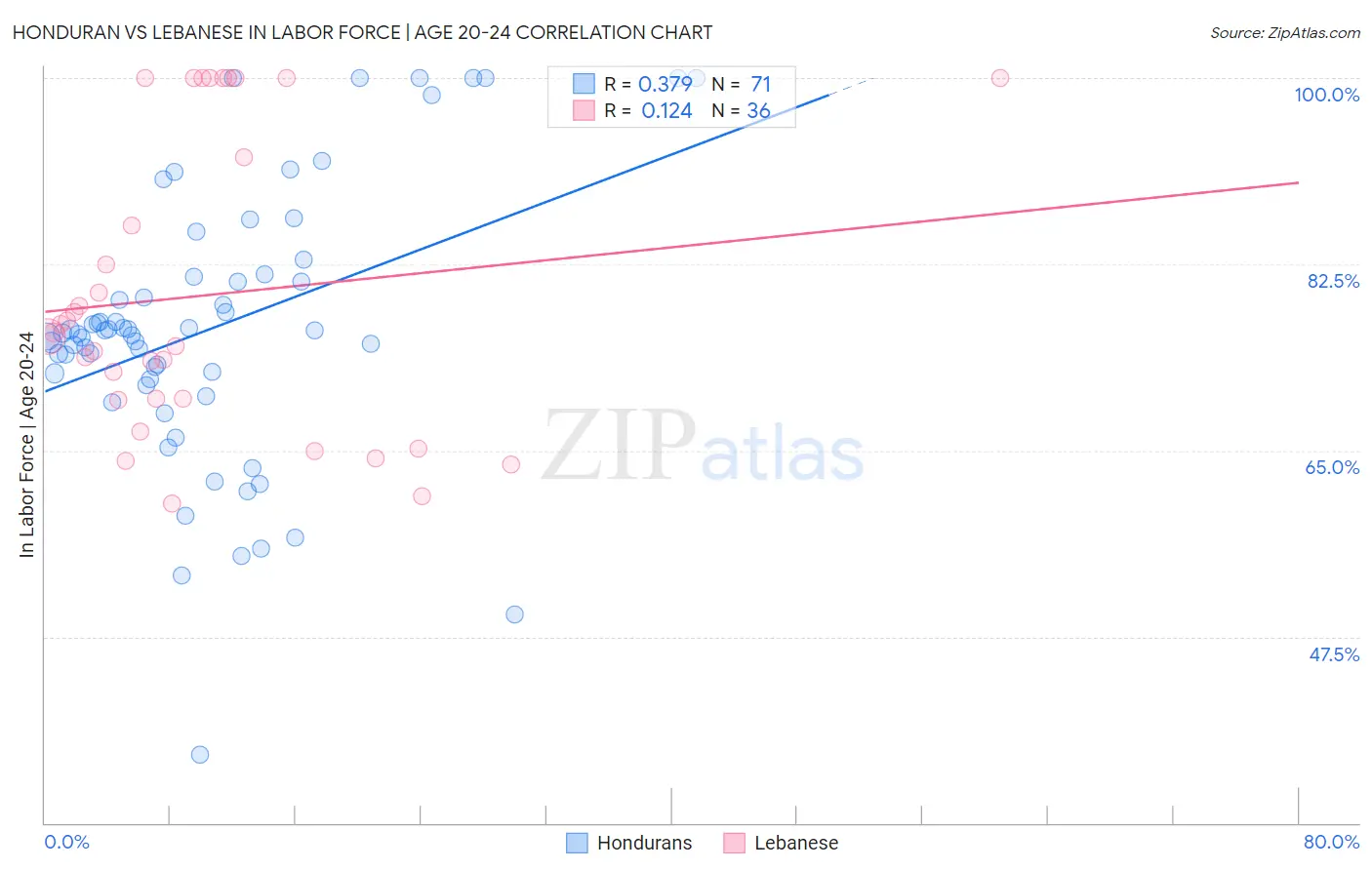 Honduran vs Lebanese In Labor Force | Age 20-24