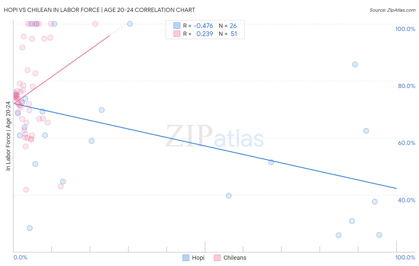 Hopi vs Chilean In Labor Force | Age 20-24