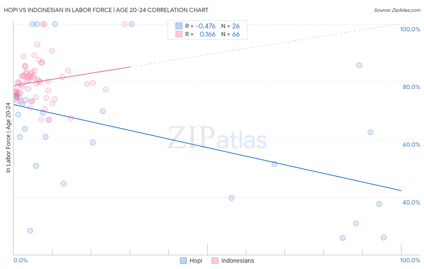 Hopi vs Indonesian In Labor Force | Age 20-24