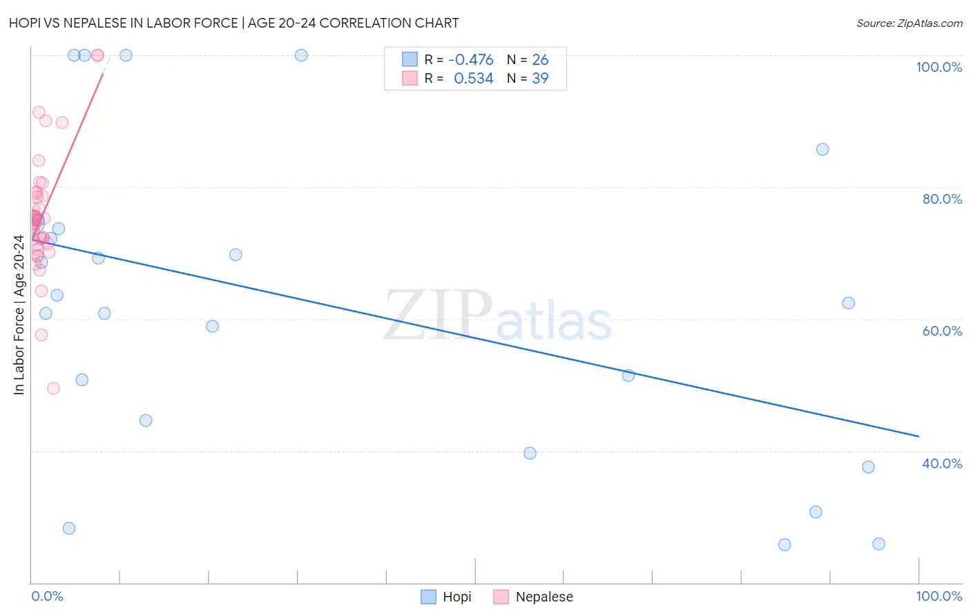 Hopi vs Nepalese In Labor Force | Age 20-24