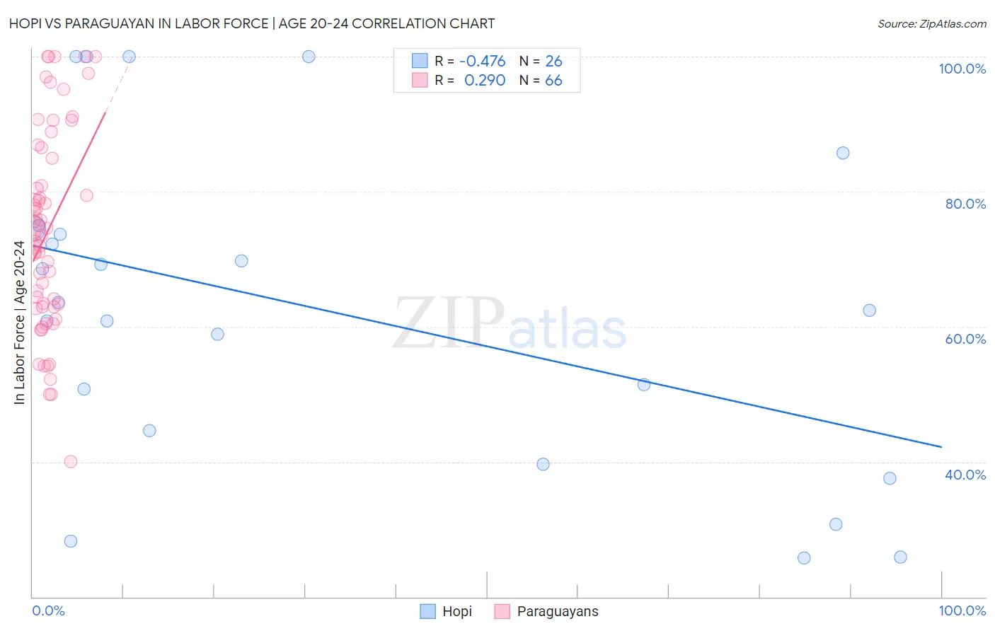 Hopi vs Paraguayan In Labor Force | Age 20-24