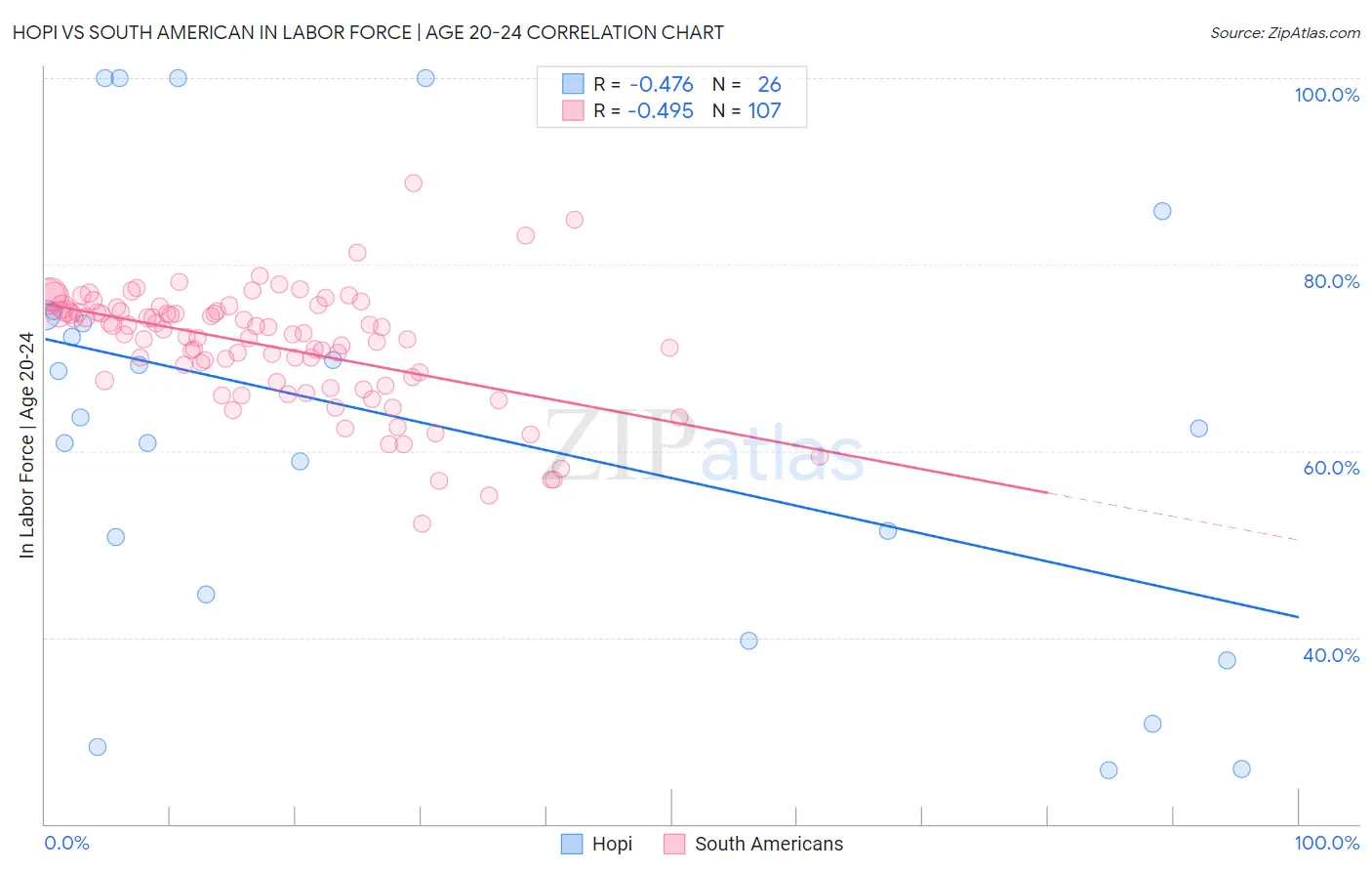 Hopi vs South American In Labor Force | Age 20-24