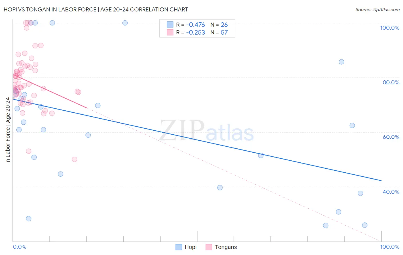 Hopi vs Tongan In Labor Force | Age 20-24