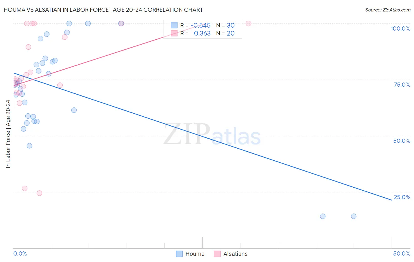 Houma vs Alsatian In Labor Force | Age 20-24