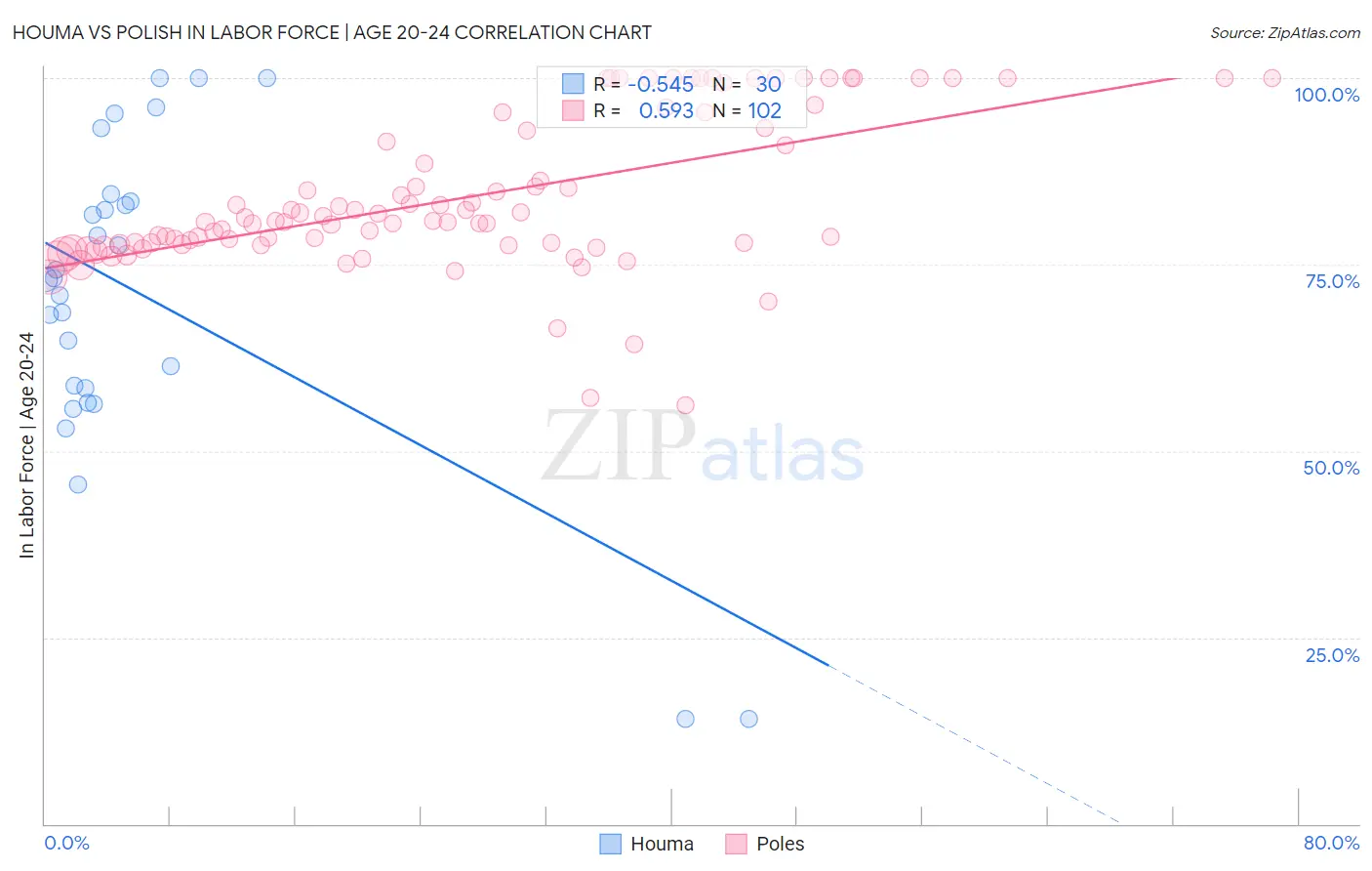 Houma vs Polish In Labor Force | Age 20-24