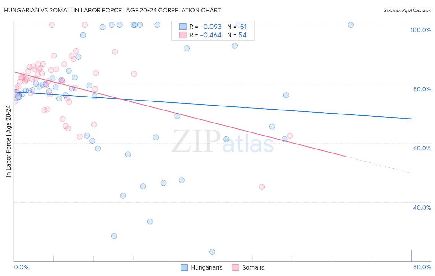 Hungarian vs Somali In Labor Force | Age 20-24