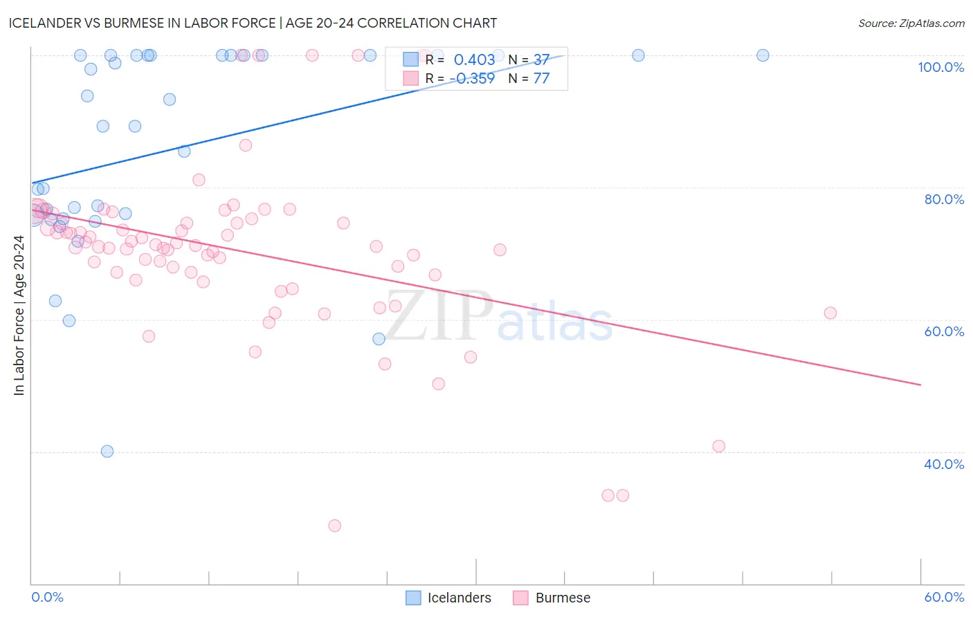 Icelander vs Burmese In Labor Force | Age 20-24