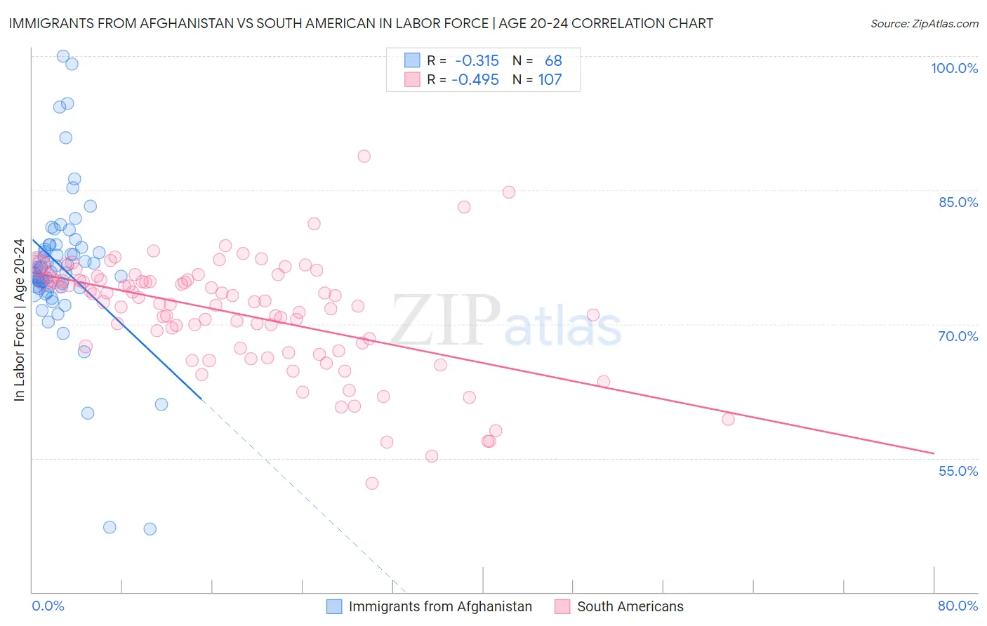 Immigrants from Afghanistan vs South American In Labor Force | Age 20-24