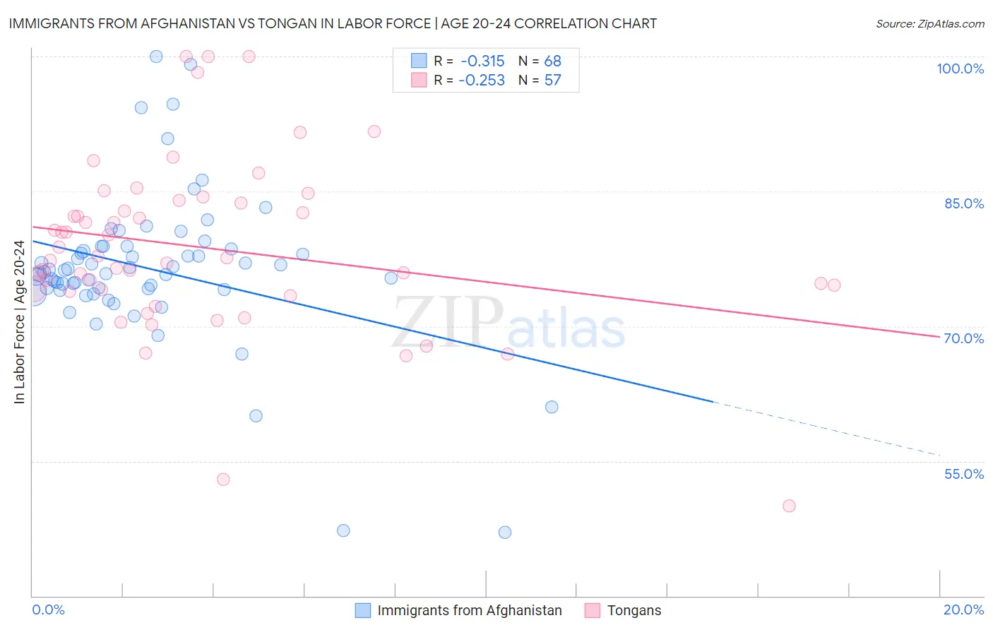 Immigrants from Afghanistan vs Tongan In Labor Force | Age 20-24