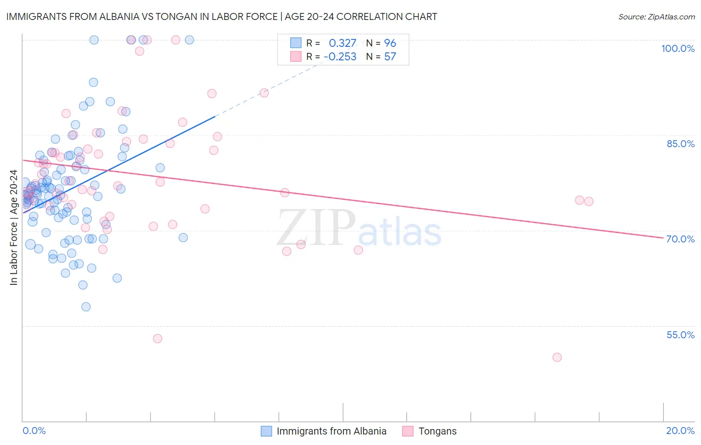 Immigrants from Albania vs Tongan In Labor Force | Age 20-24