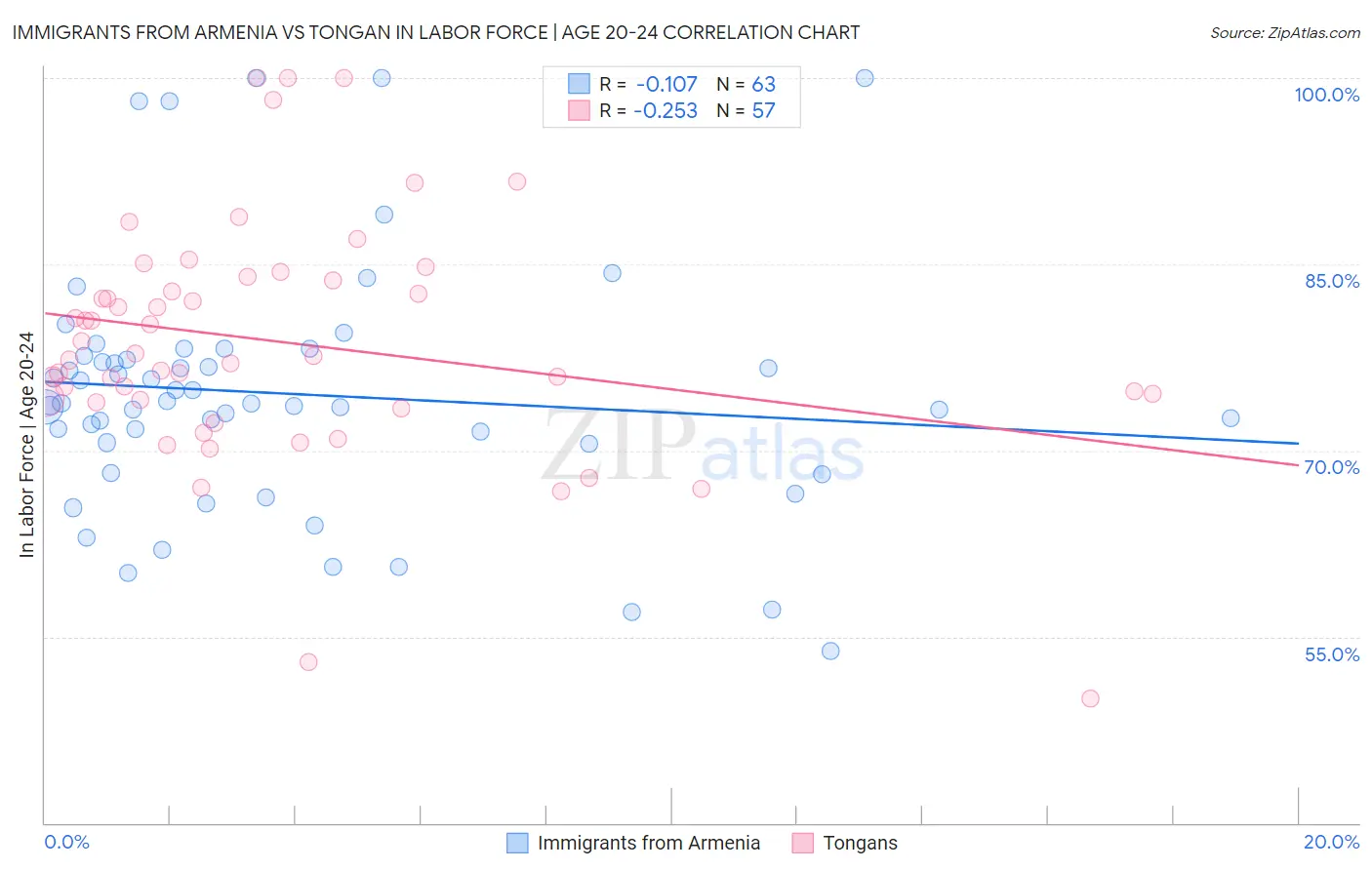 Immigrants from Armenia vs Tongan In Labor Force | Age 20-24