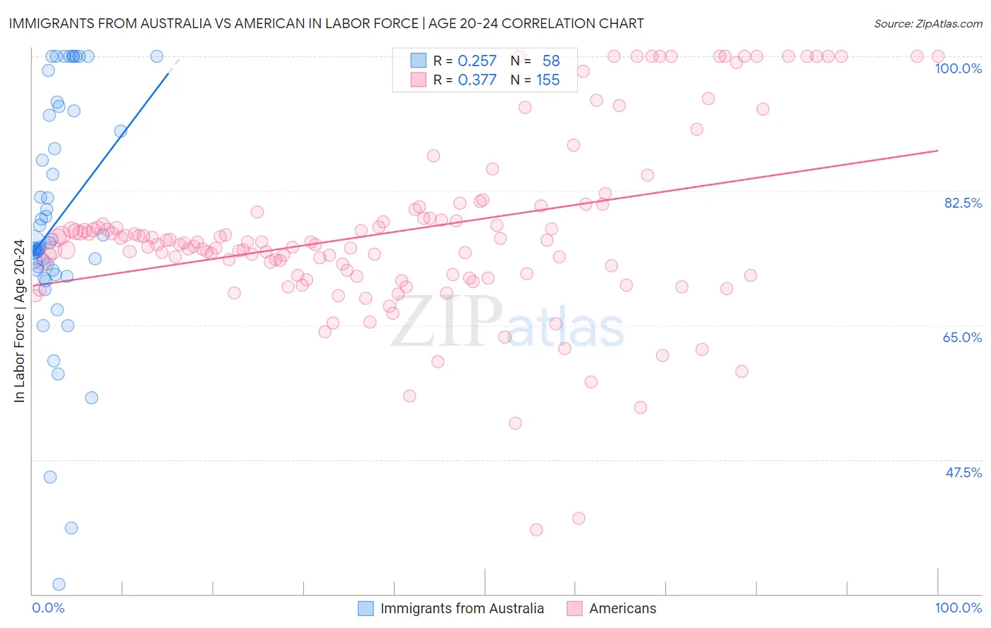 Immigrants from Australia vs American In Labor Force | Age 20-24