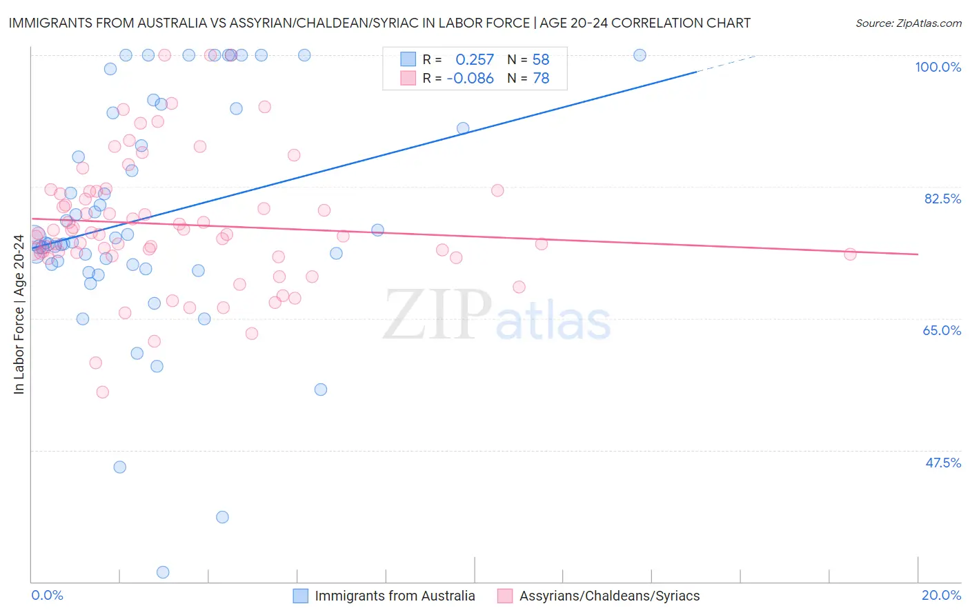 Immigrants from Australia vs Assyrian/Chaldean/Syriac In Labor Force | Age 20-24
