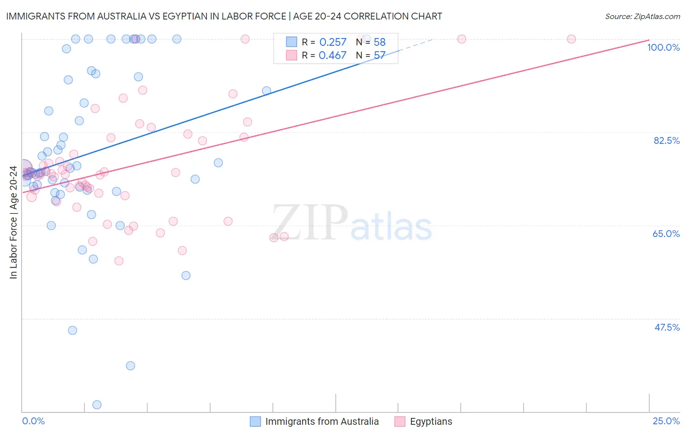 Immigrants from Australia vs Egyptian In Labor Force | Age 20-24