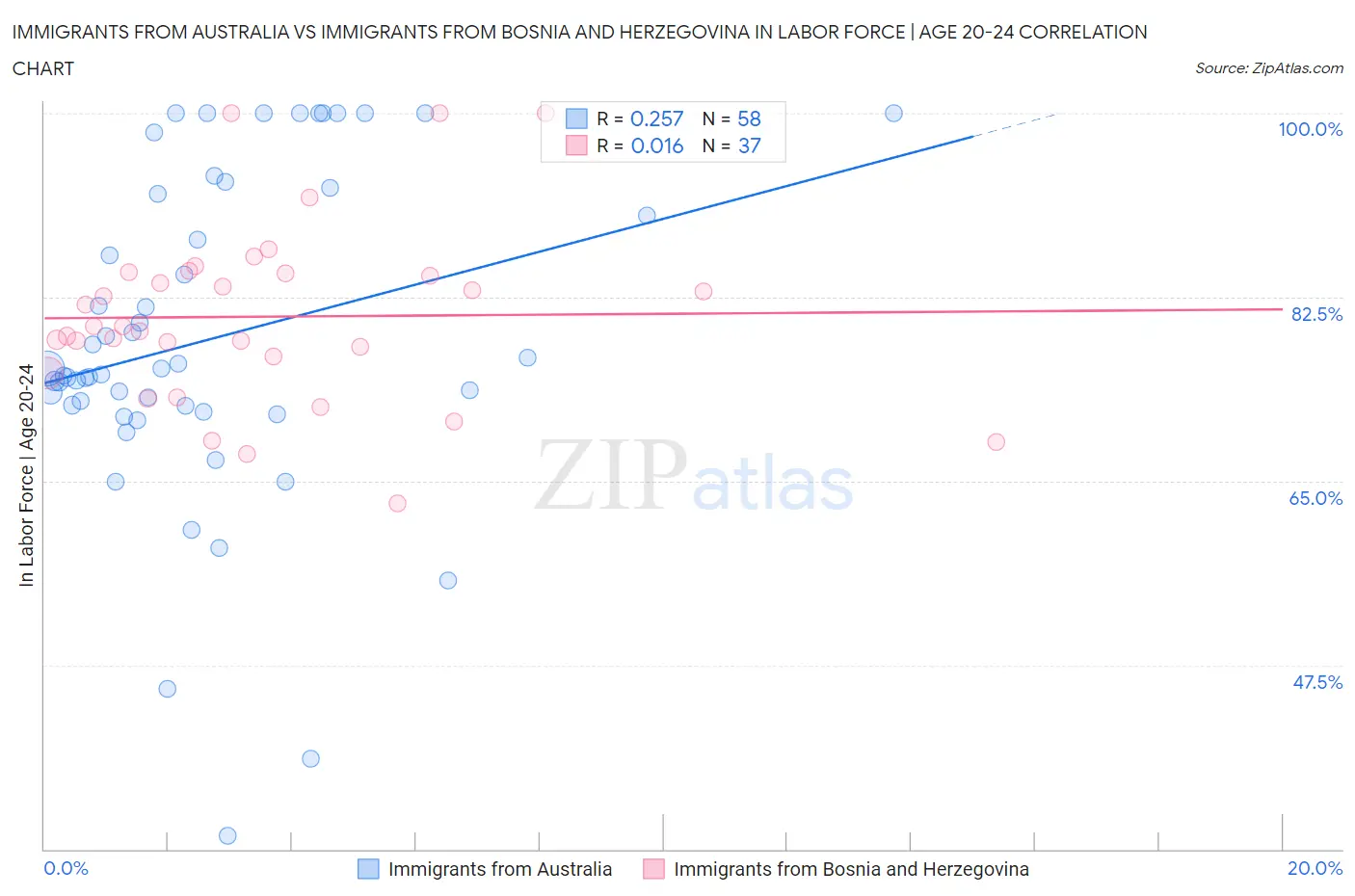 Immigrants from Australia vs Immigrants from Bosnia and Herzegovina In Labor Force | Age 20-24