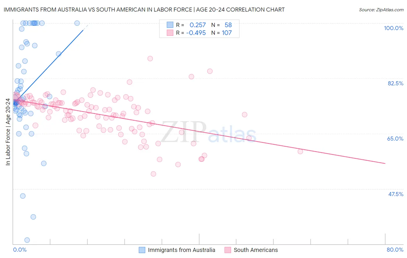 Immigrants from Australia vs South American In Labor Force | Age 20-24