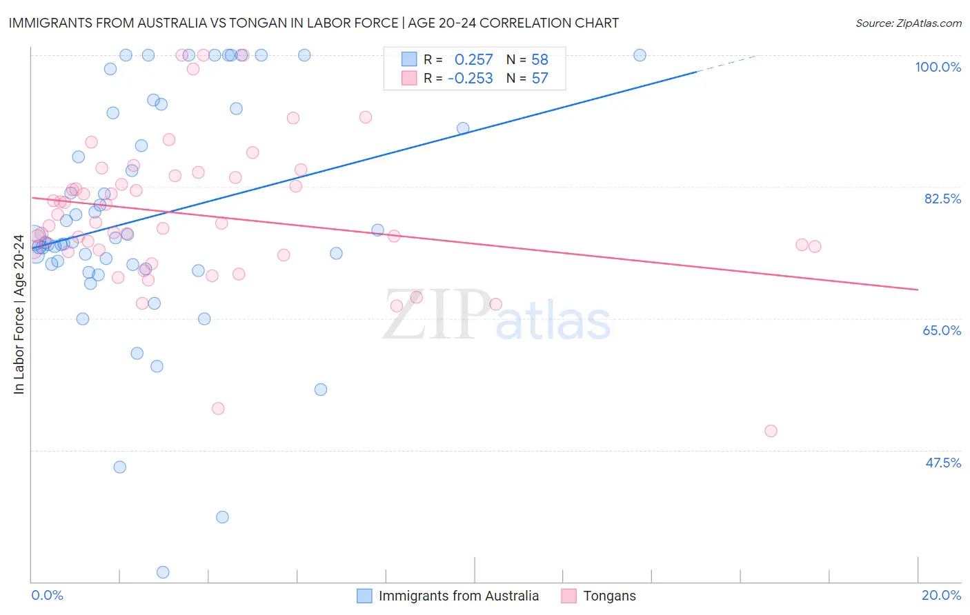 Immigrants from Australia vs Tongan In Labor Force | Age 20-24