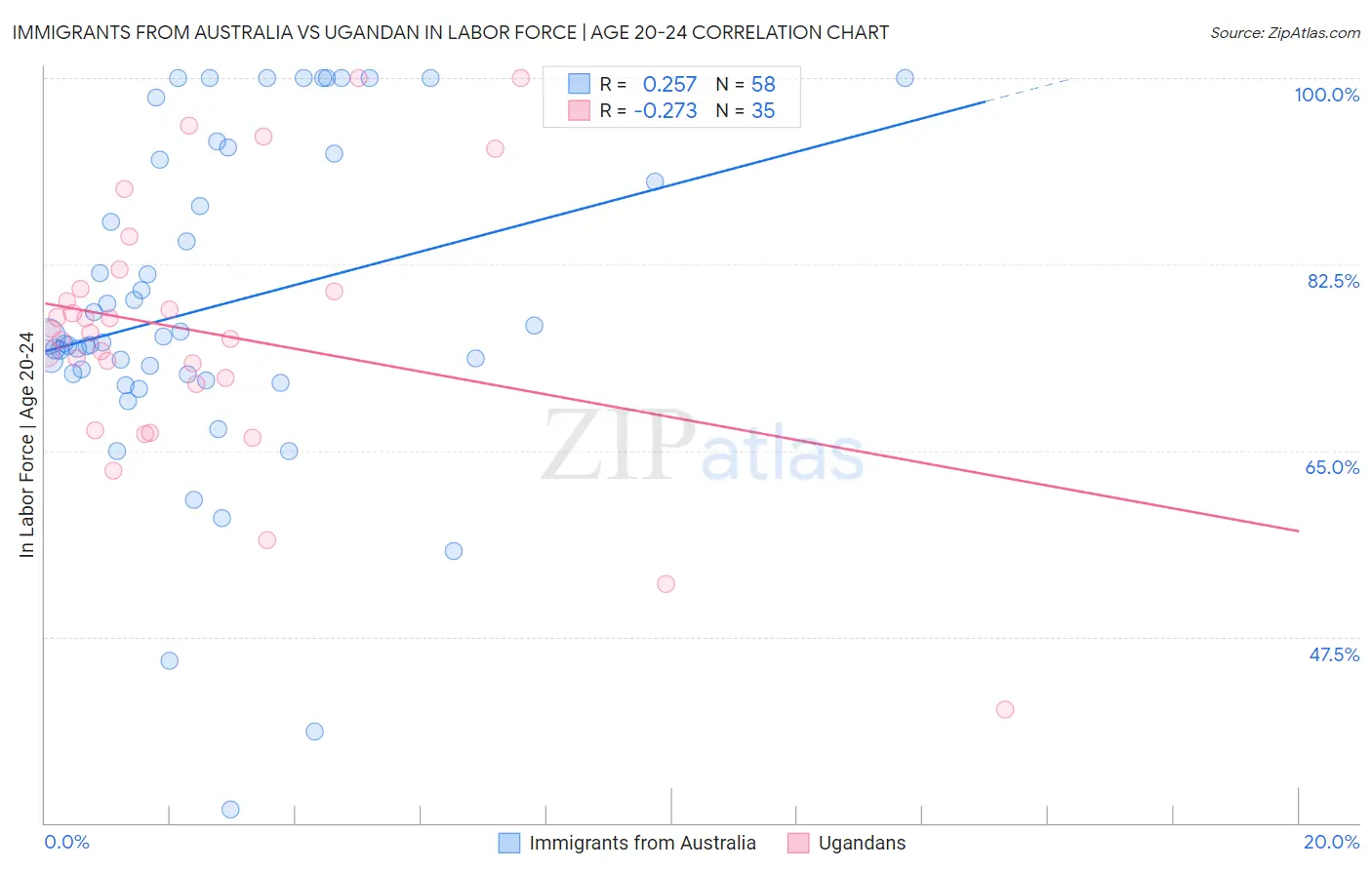 Immigrants from Australia vs Ugandan In Labor Force | Age 20-24