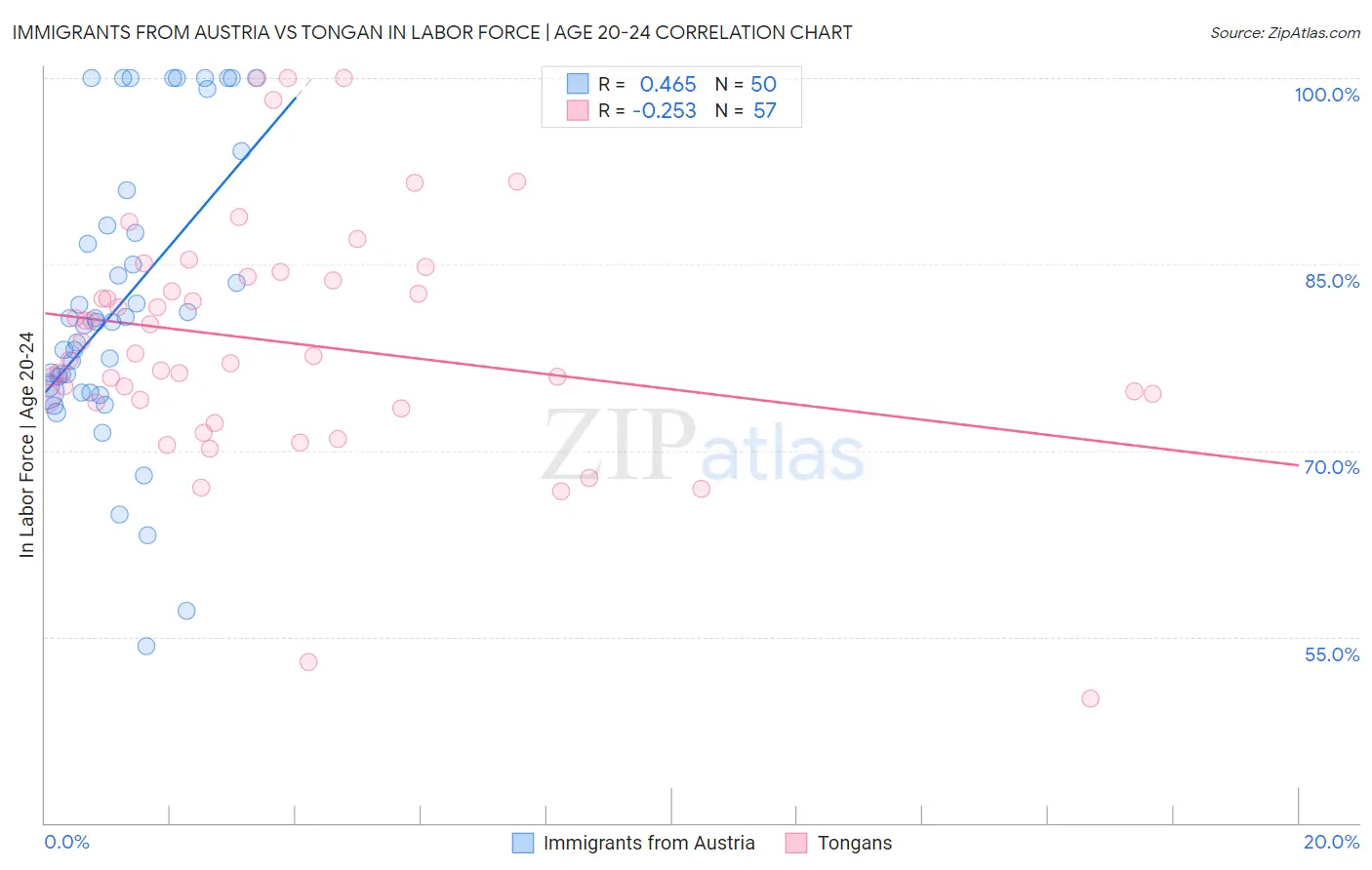 Immigrants from Austria vs Tongan In Labor Force | Age 20-24