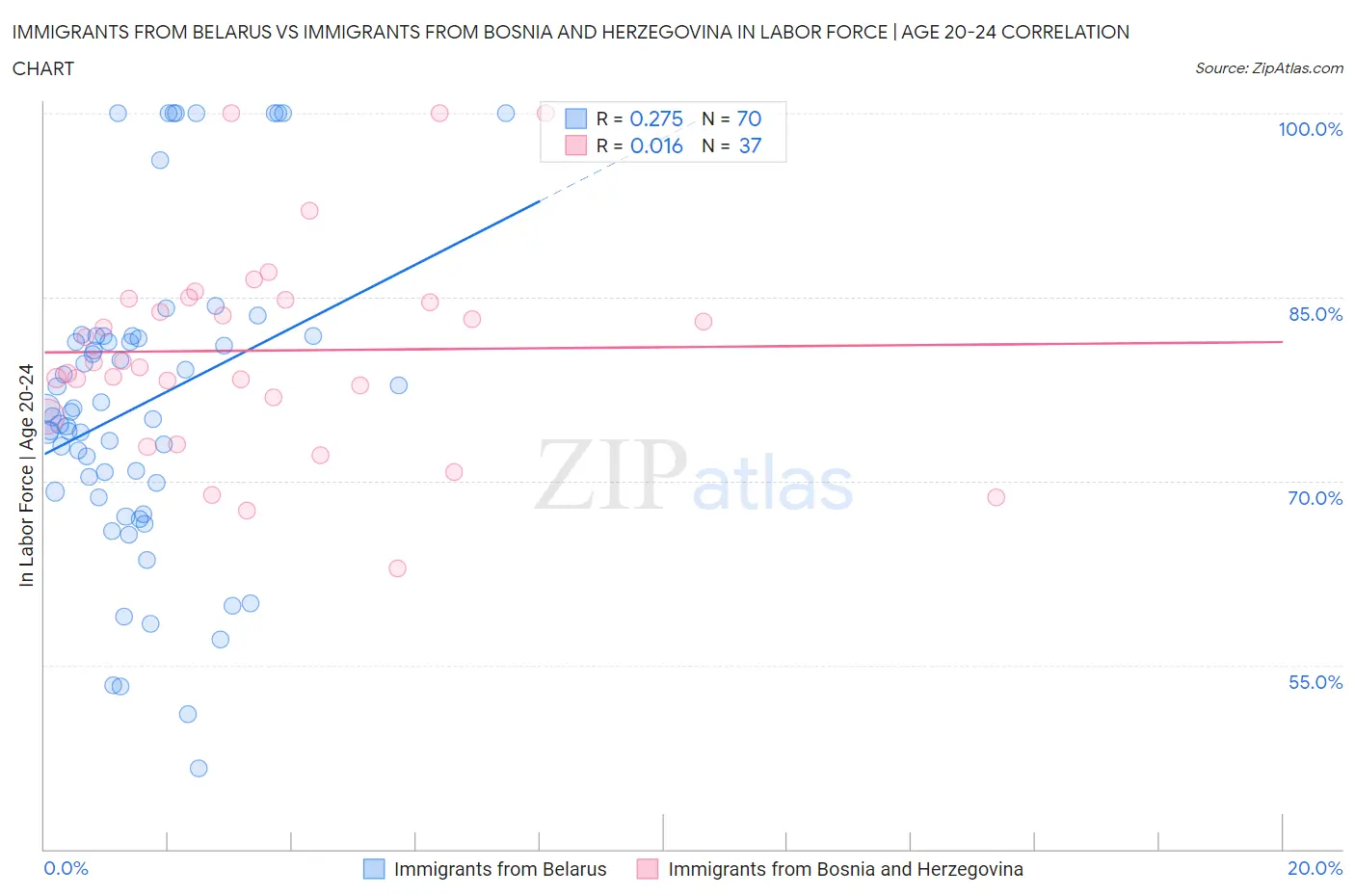 Immigrants from Belarus vs Immigrants from Bosnia and Herzegovina In Labor Force | Age 20-24