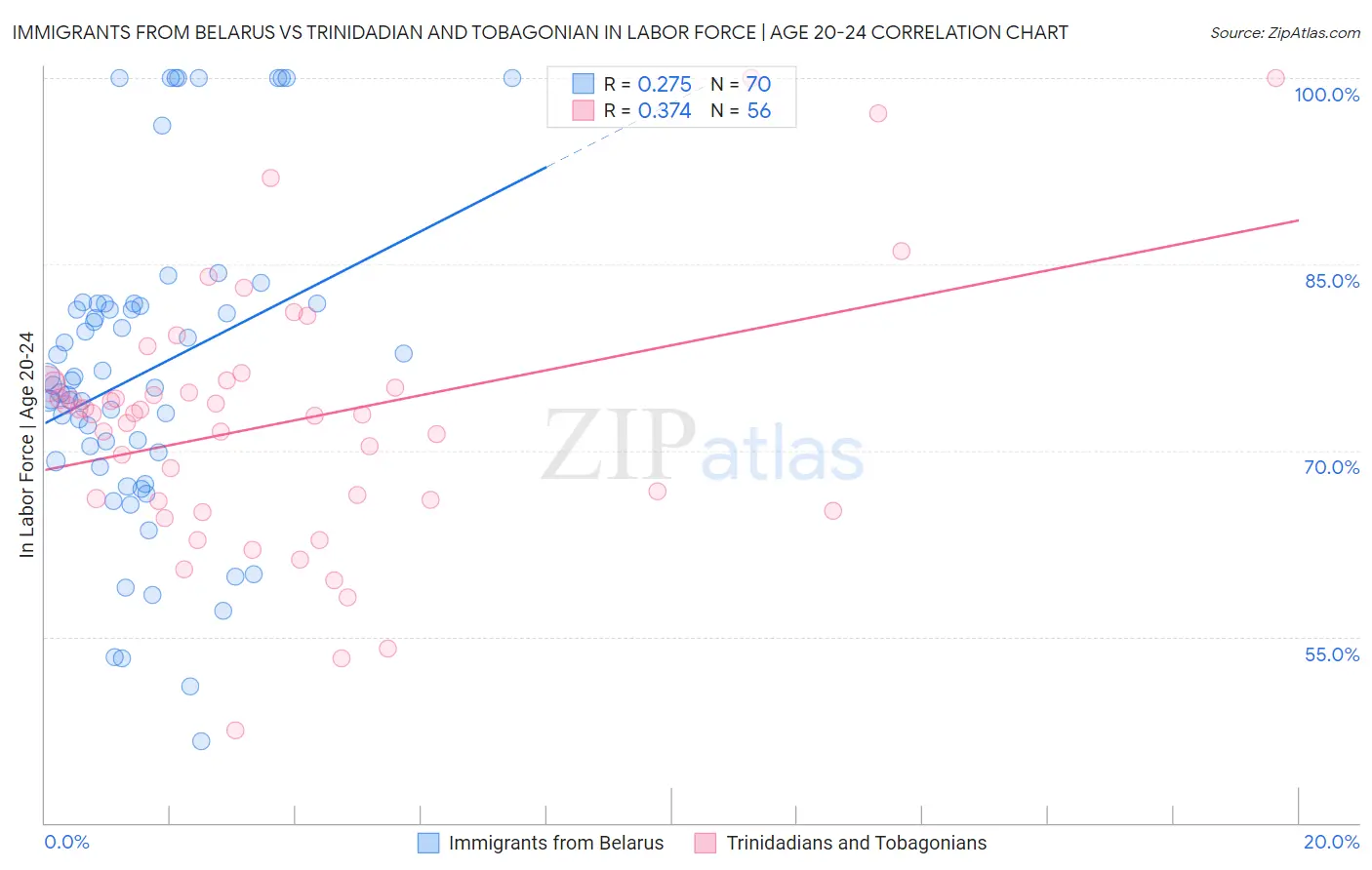 Immigrants from Belarus vs Trinidadian and Tobagonian In Labor Force | Age 20-24