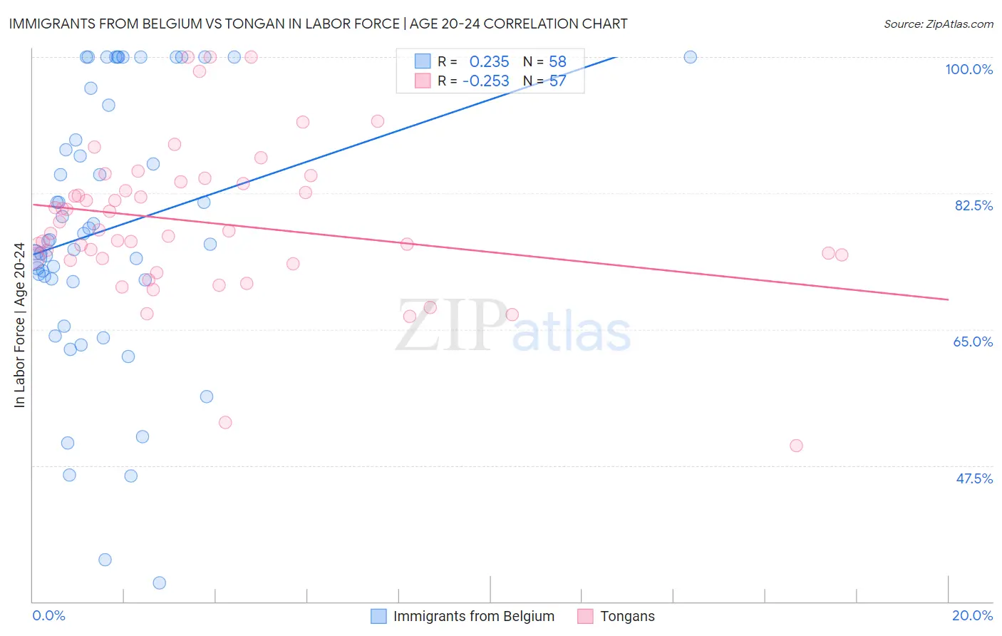 Immigrants from Belgium vs Tongan In Labor Force | Age 20-24