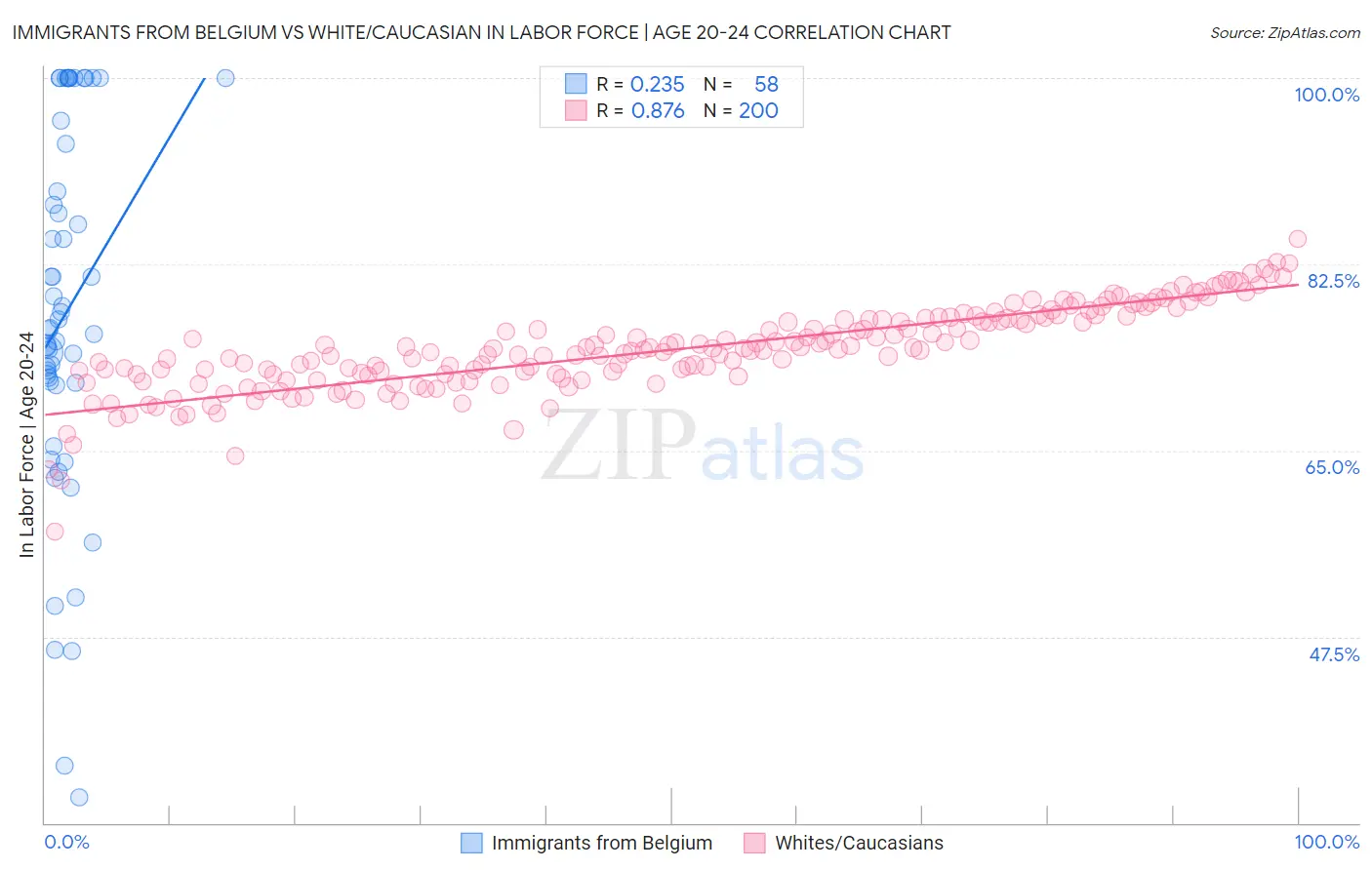 Immigrants from Belgium vs White/Caucasian In Labor Force | Age 20-24