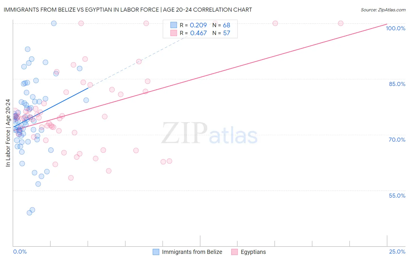 Immigrants from Belize vs Egyptian In Labor Force | Age 20-24