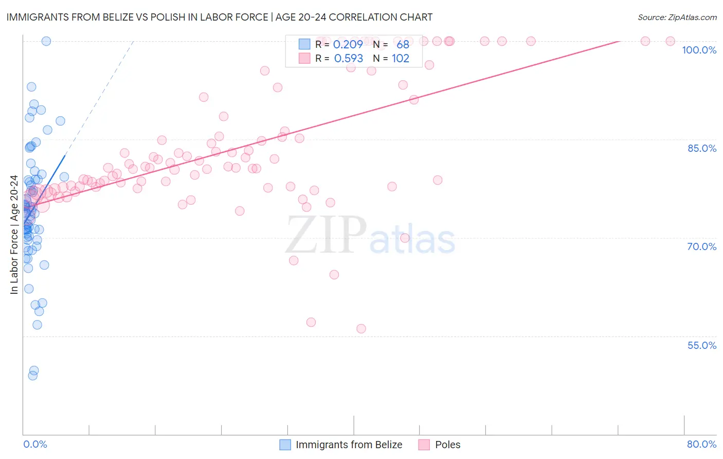 Immigrants from Belize vs Polish In Labor Force | Age 20-24
